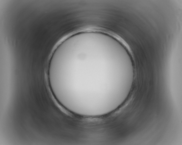 X0000116151429200911230943
