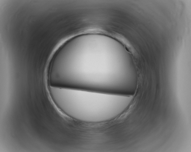 X0000116151430200911230943