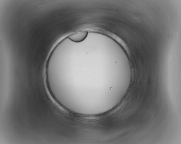 X0000116151431200911230943