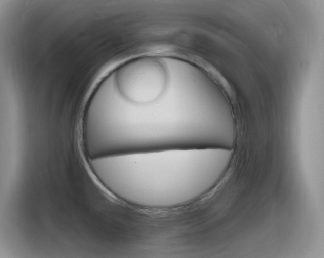 X0000116151432200911230943
