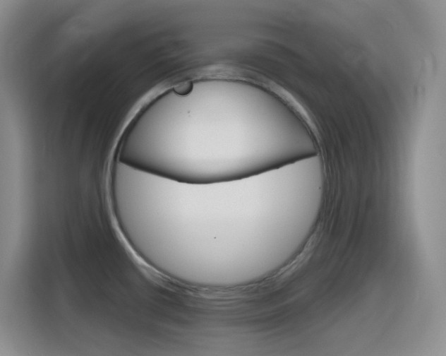X0000116151434200911230943