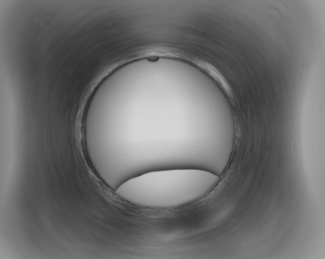 X0000116151435200911230943