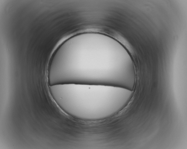 X0000116151436200911230943