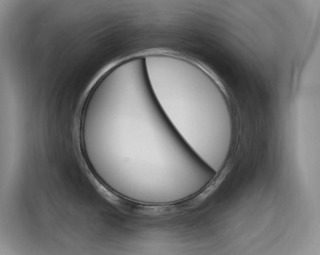 X0000116151438200911230943