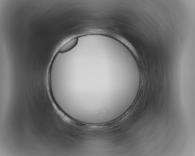 X0000116151439200911230943