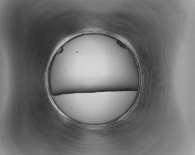 X0000116151440200911230943
