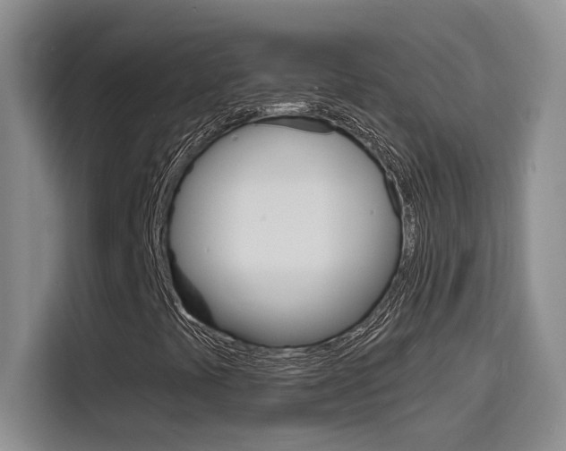X0000116151441200911230942