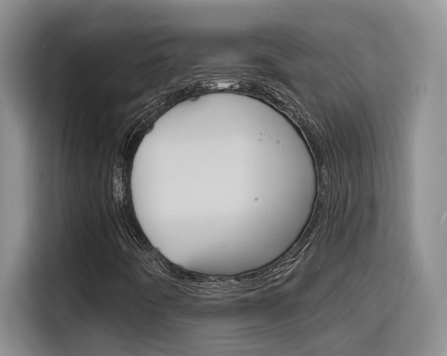X0000116151442200911230942