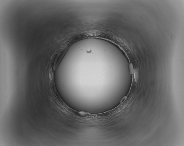 X0000116151444200911230942
