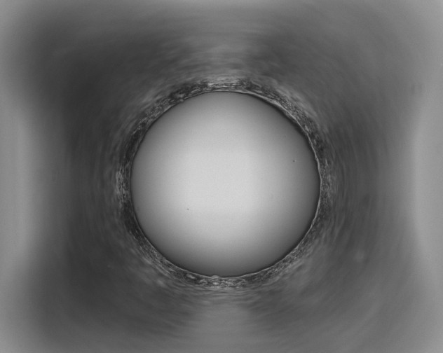 X0000116151445200911230942