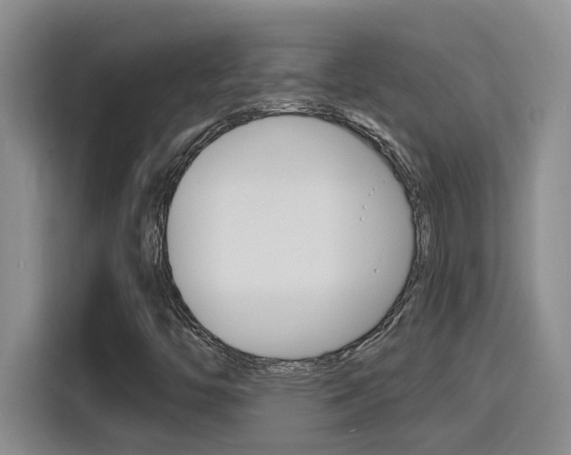 X0000116151446200911230942