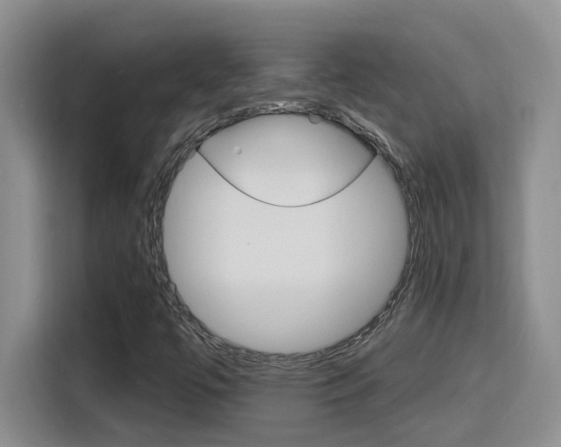 X0000116151447200911230942