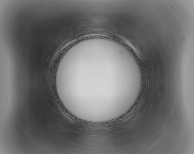 X0000116151448200911230942