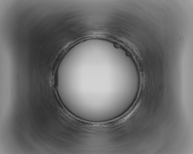 X0000116151449200911230942