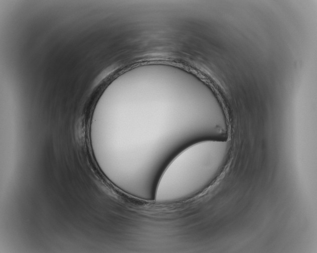 X0000116151450200911230942