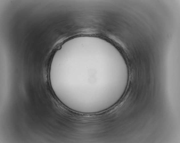 X0000116151451200911230942