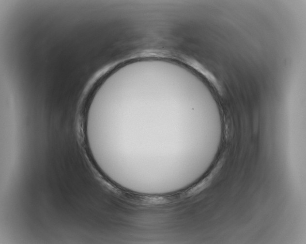 X0000116151454200911230942