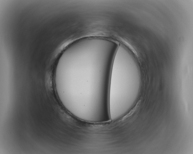 X0000116151455200911230942