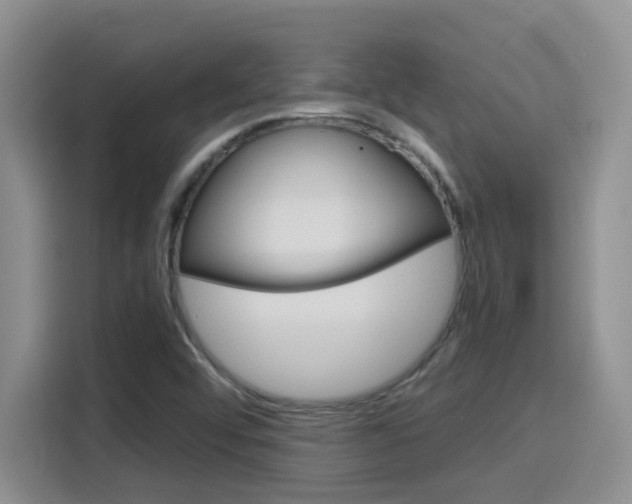 X0000116151456200911230942