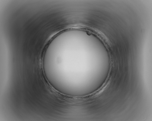 X0000116151457200911230942