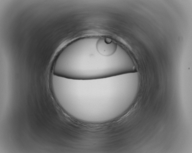 X0000116151459200911230942