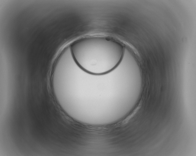 X0000116151461200911230942
