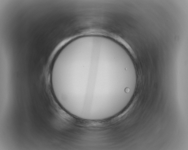 X0000116151462200911230942