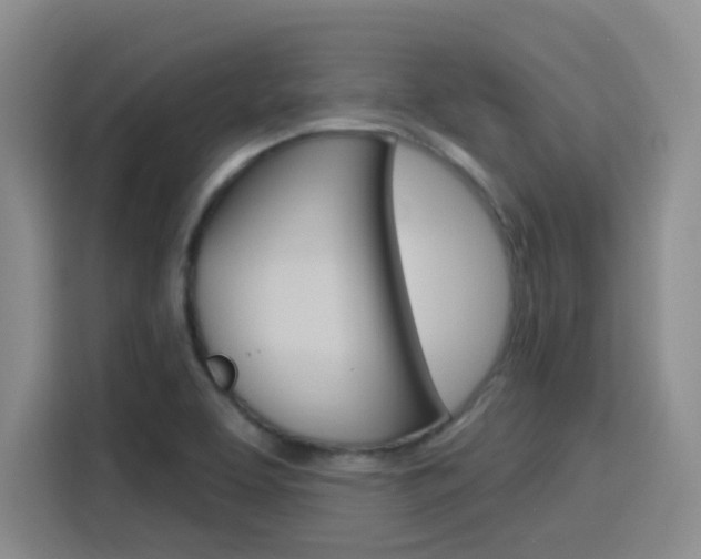 X0000116151463200911230942