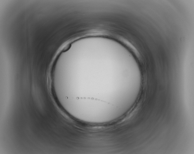 X0000116151467200911230942