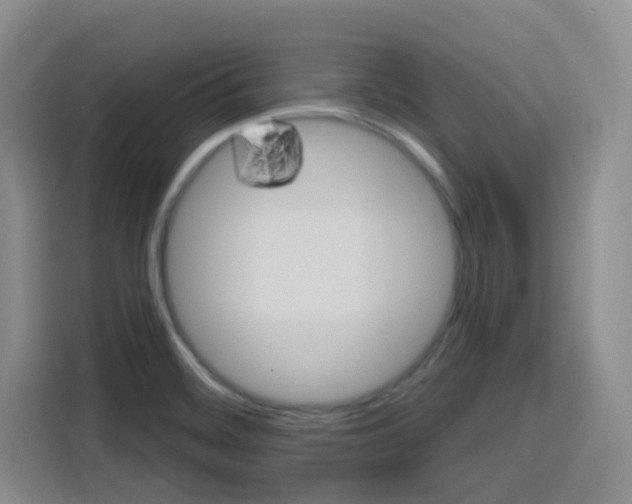 X0000116151468200911230942
