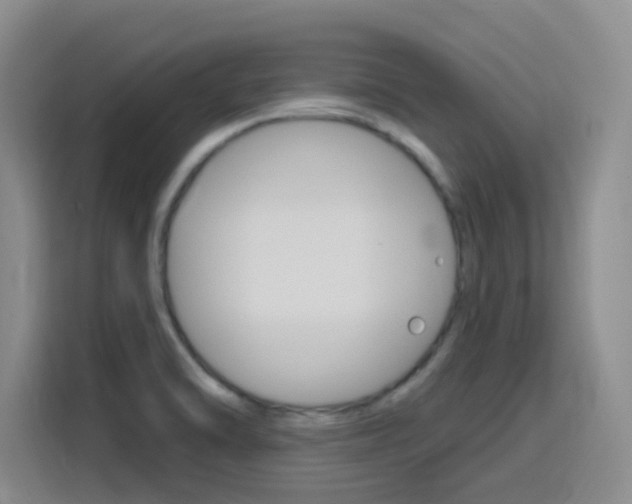 X0000116151470200911230942