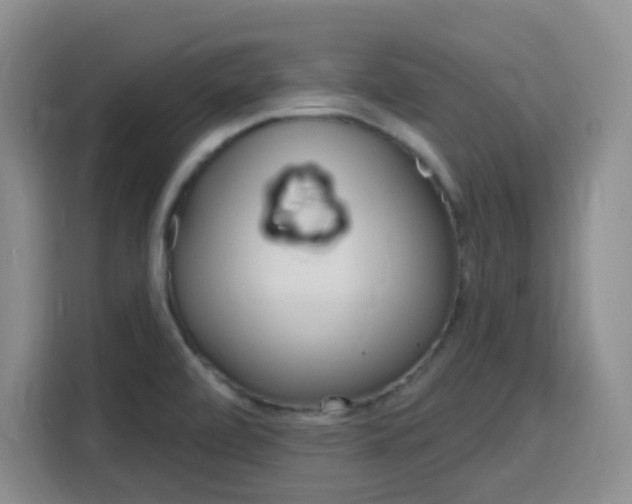 X0000116151472200911230942