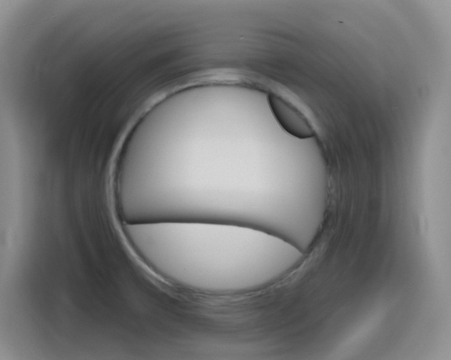 X0000116151475200911230942