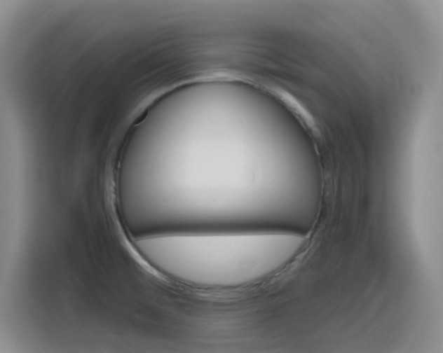 X0000116151476200911230942