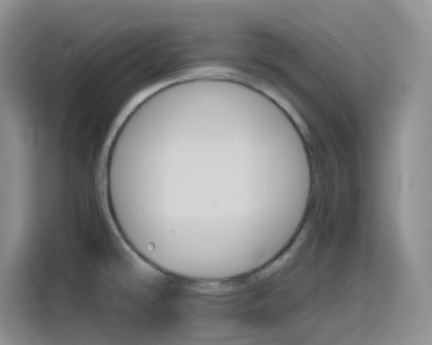 X0000116151478200911230942