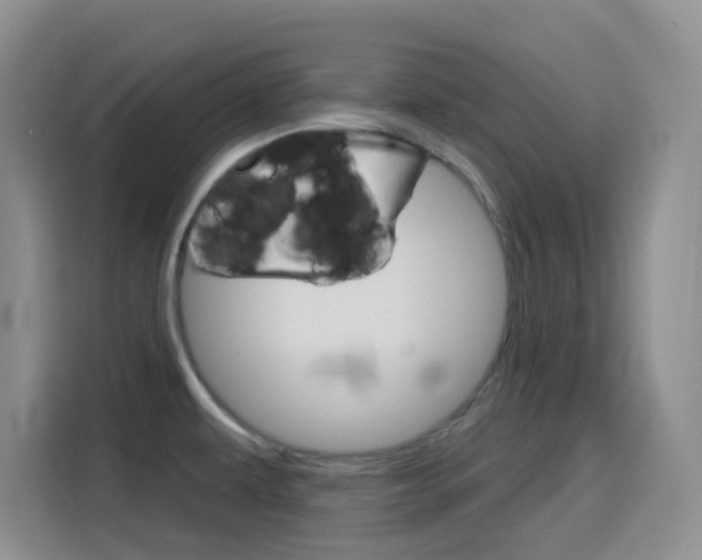 X0000116151479200911230942