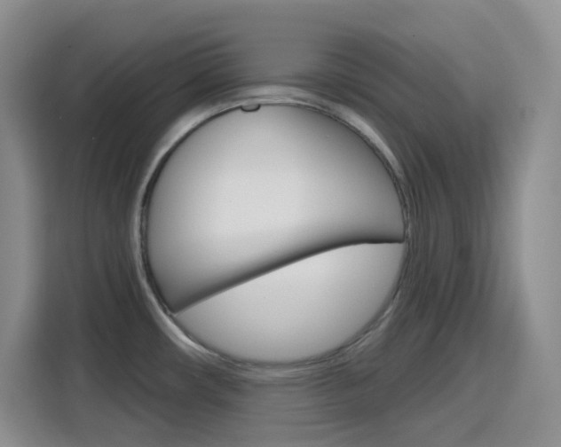 X0000116151482200911230942