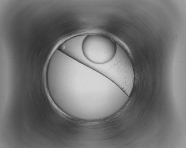 X0000116151483200911230941