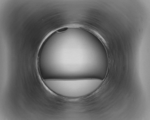 X0000116151484200911230941