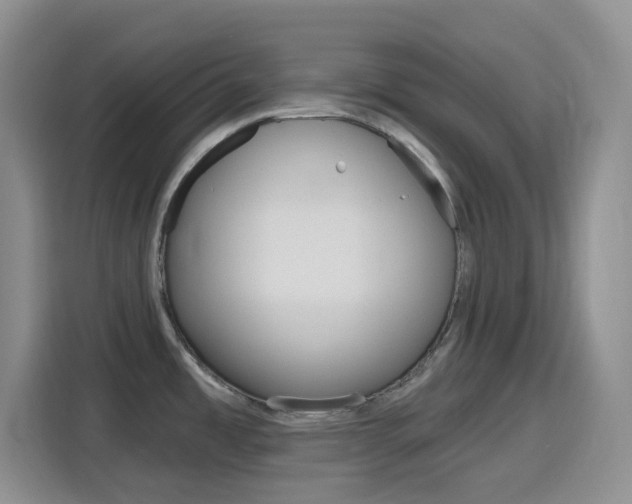 X0000116151485200911230941