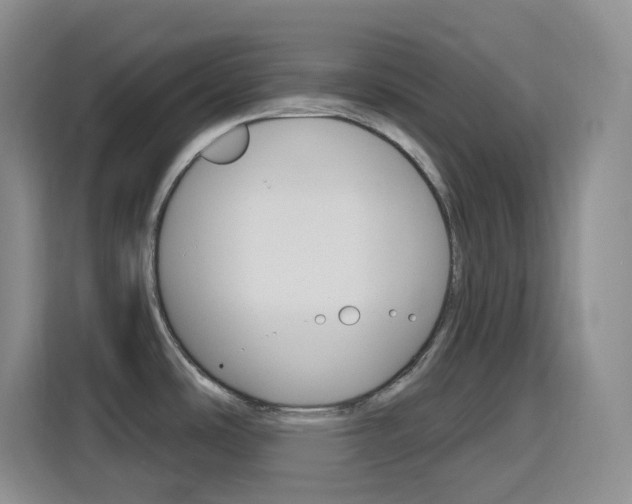 X0000116151486200911230941