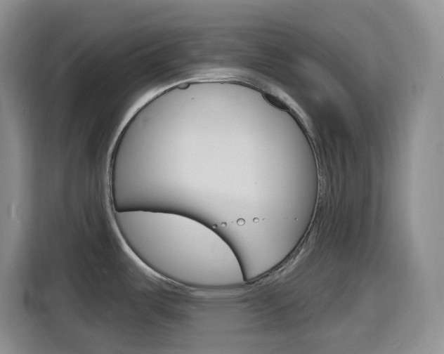 X0000116151487200911230941