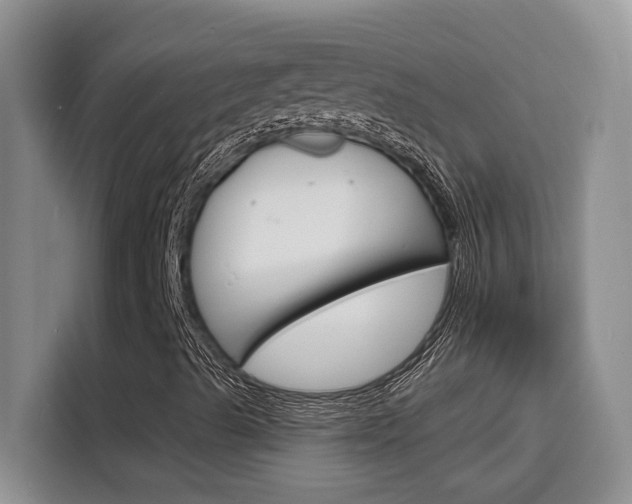 X0000116151489200911230941