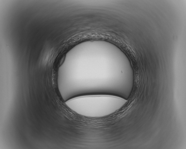 X0000116151490200911230941