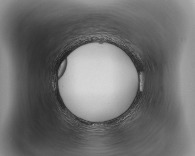 X0000116151491200911230941