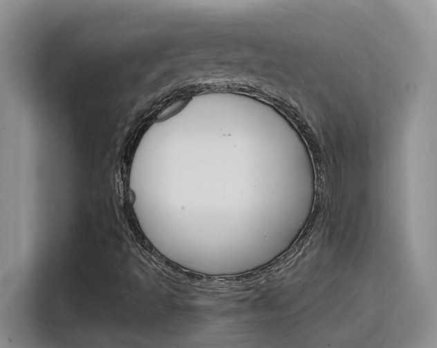 X0000116151493200911230941