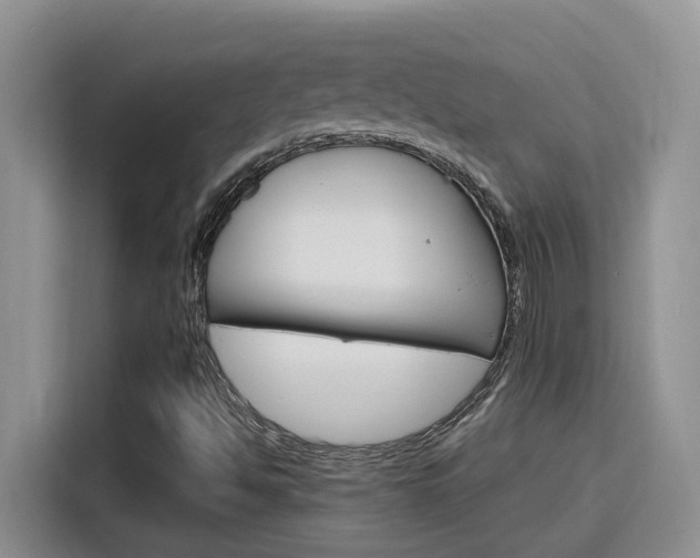 X0000116151494200911230941