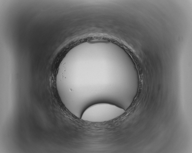 X0000116151495200911230941