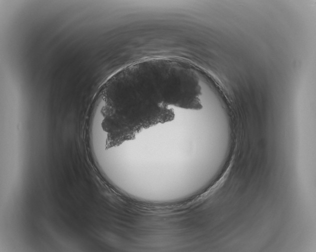 X0000116151497200911230941