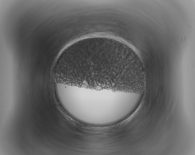 X0000116151498200911230941